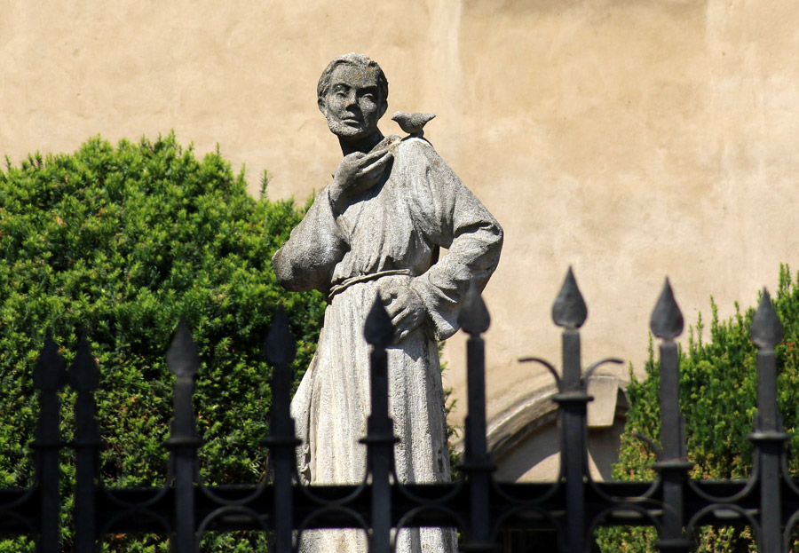 San Francesco d'Assisi: vita e miracoli del Patrono d'Italia